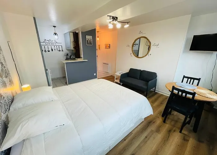 公寓 Chez Sissi - Hypercentre -